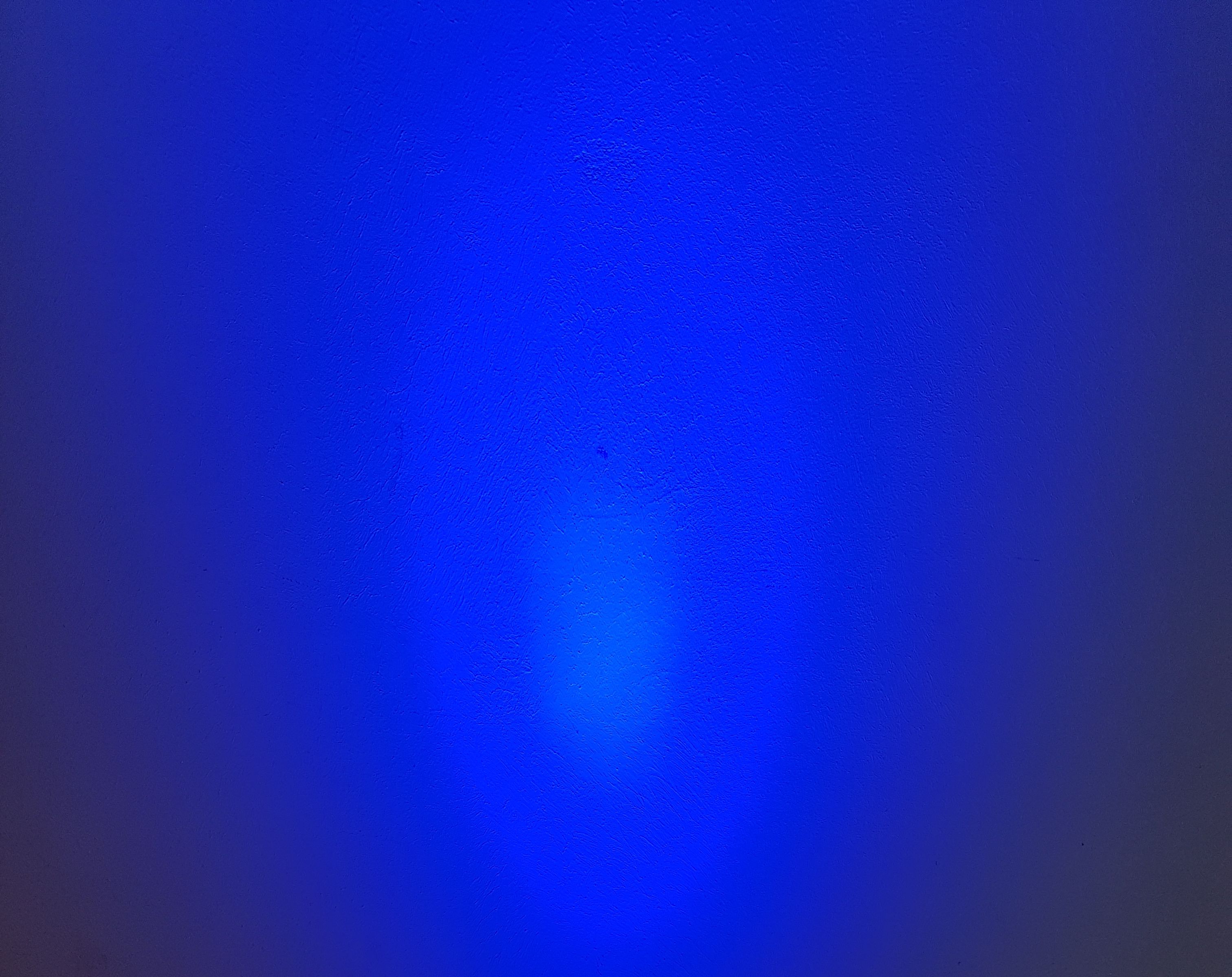 Bild  blauer Hintergrund